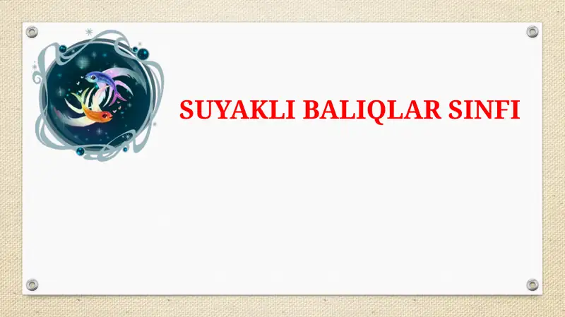 Tog’ayli baliqlar sinfi