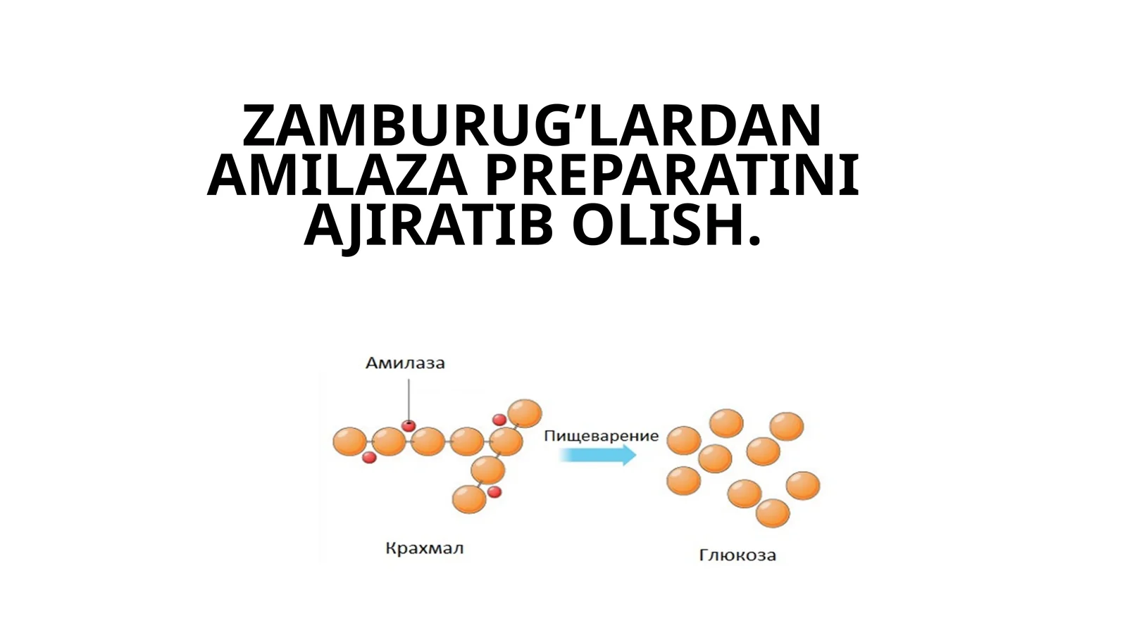 ZAMBURUG’LARDAN AMILAZA PREPARATINI AJIRATIB OLISH