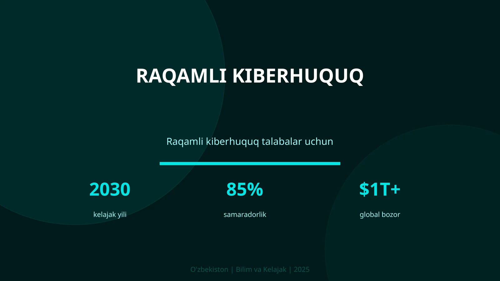 Raqamli kiberhuquq