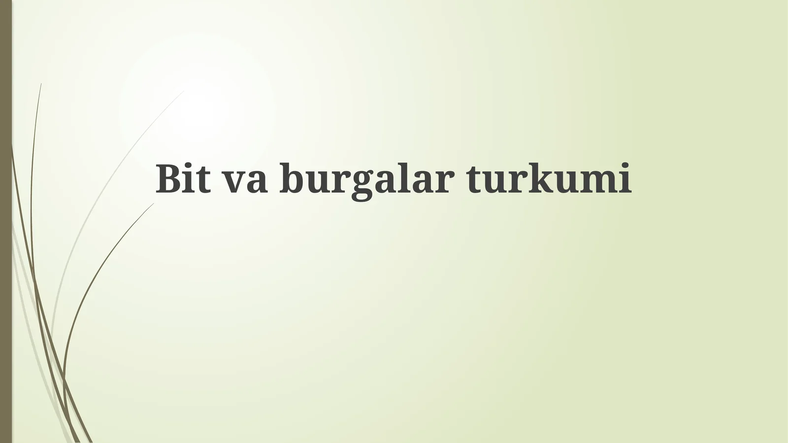 Bitlar va burgalar: umumiy ko'rinish