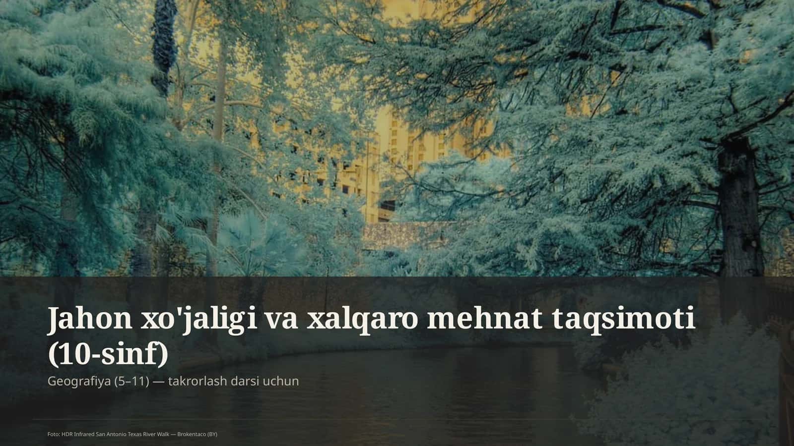 Jahon xo'jaligi va xalqaro mehnat taqsimoti (10-sinf)