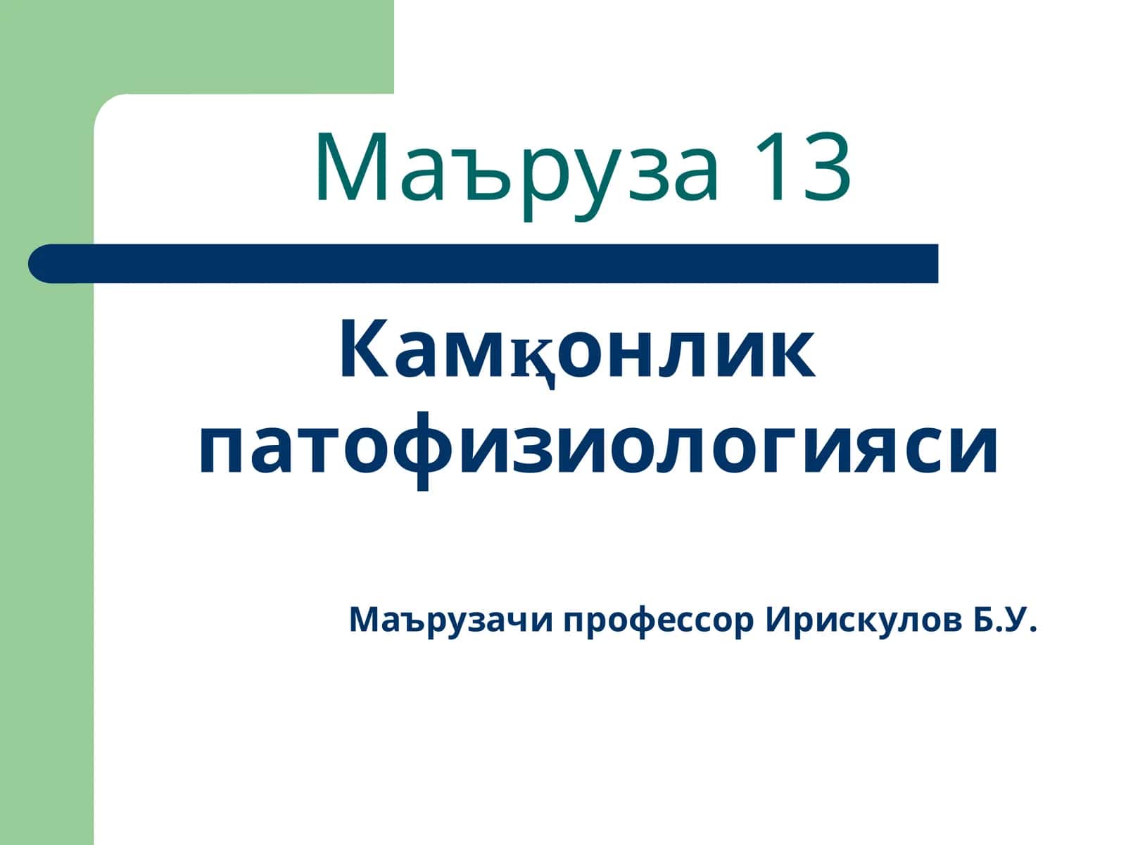 Маъруза 13