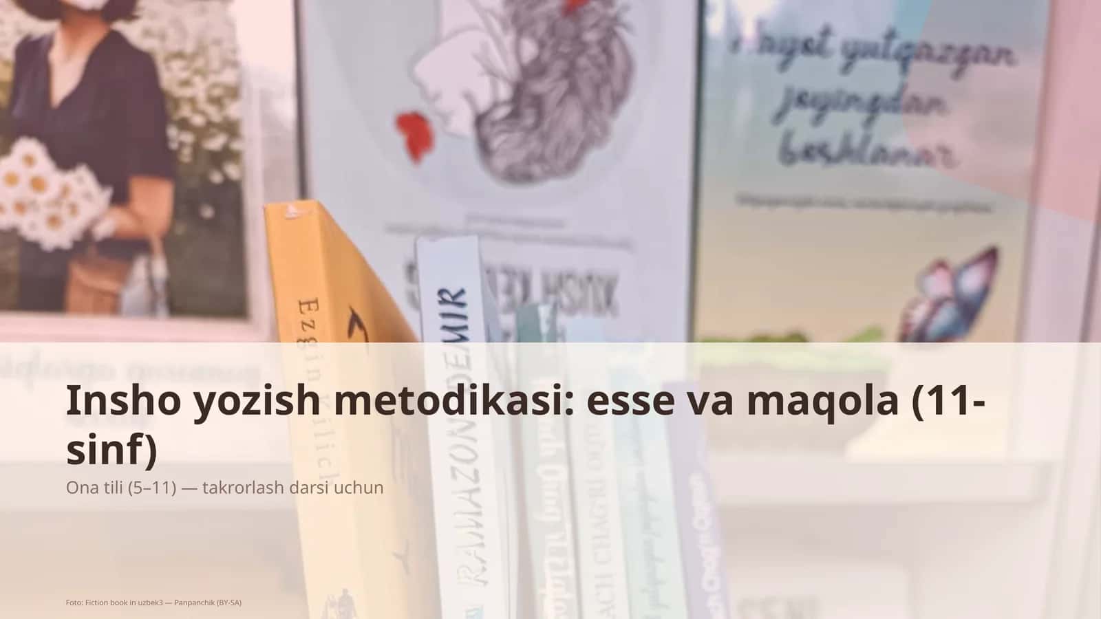 Insho yozish metodikasi: esse va maqola (11-sinf)