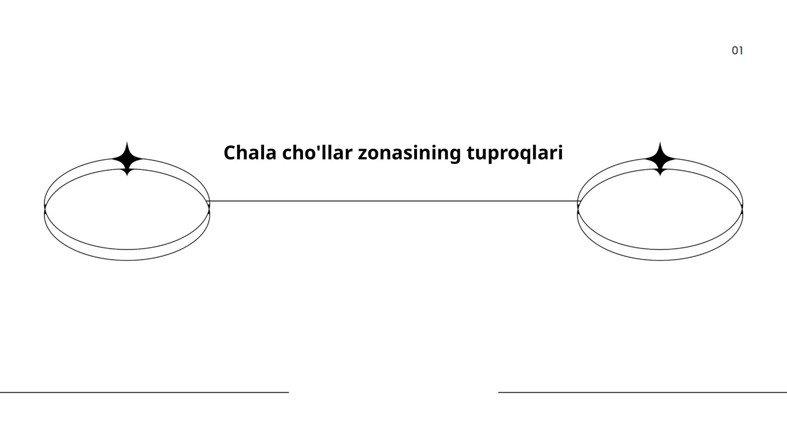Chala cho'llar zonasining tuproqlari