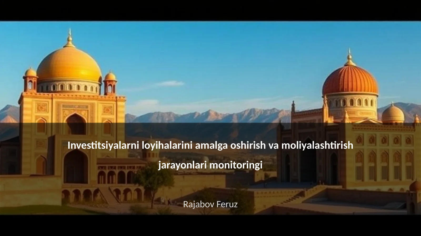 Investitsiyalarni loyihalarini amalga oshirish va moliyalashtirish jarayonlari monitoringi