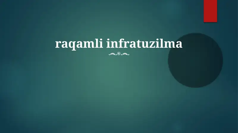 Raqamli infratuzilma