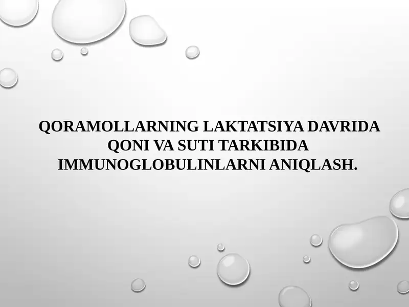 Tajribadagi sigirlar qoniga immunoglobulinlarni aniqlash