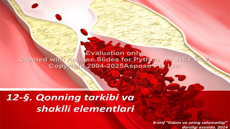Qonning tarkibi va shaklli elementlari