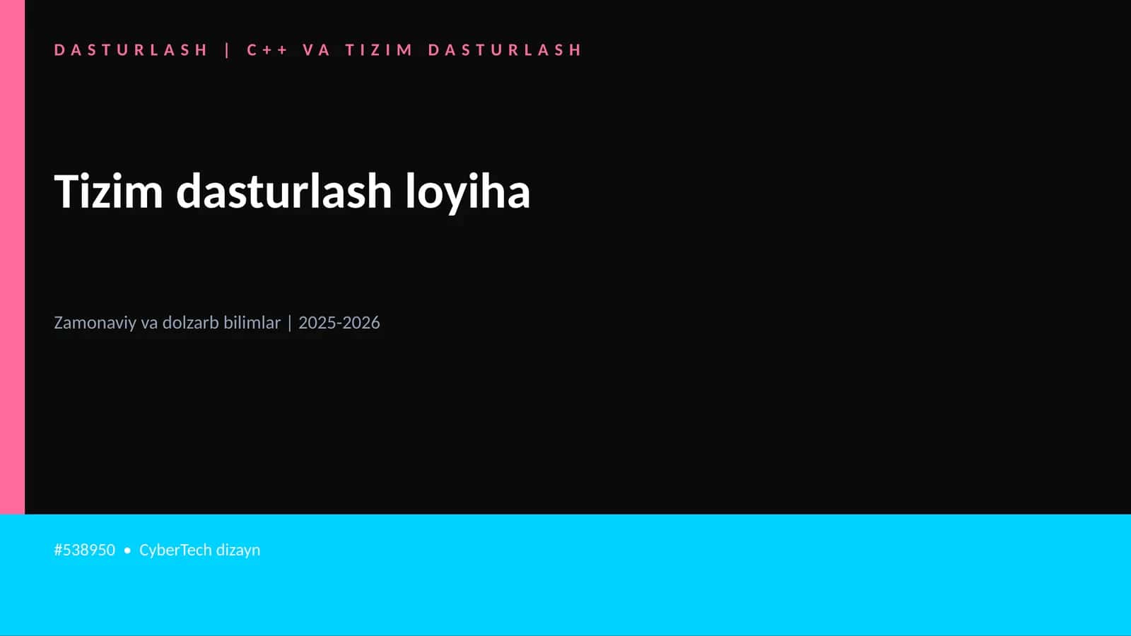 Tizim dasturlash loyiha