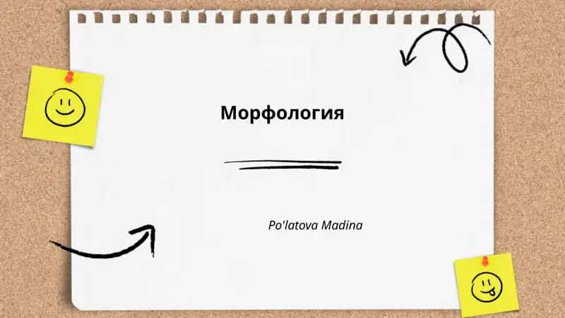Морфология