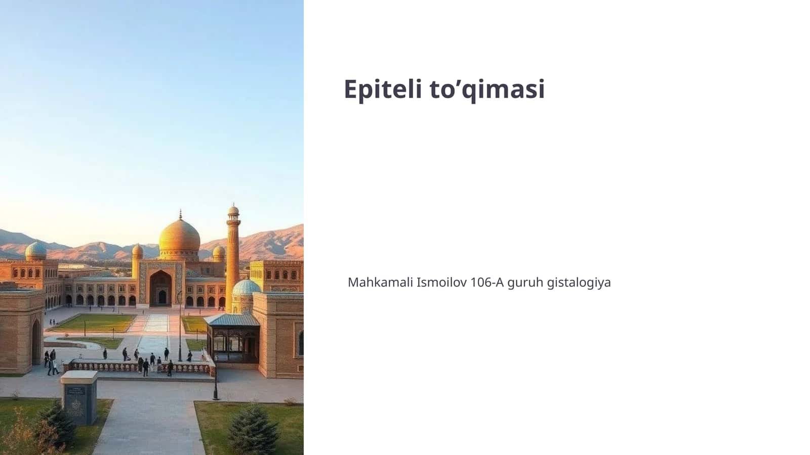 Epiteli toʼqimasi