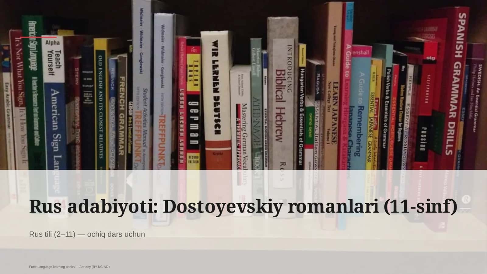 Rus adabiyoti: Dostoyevskiy romanlari (11-sinf)