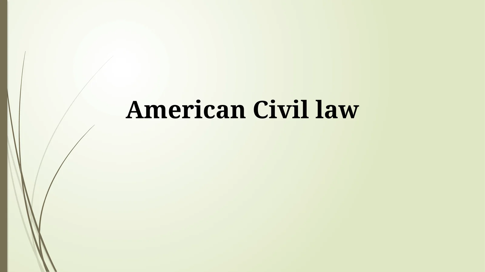 Key Features of American Civil Law
