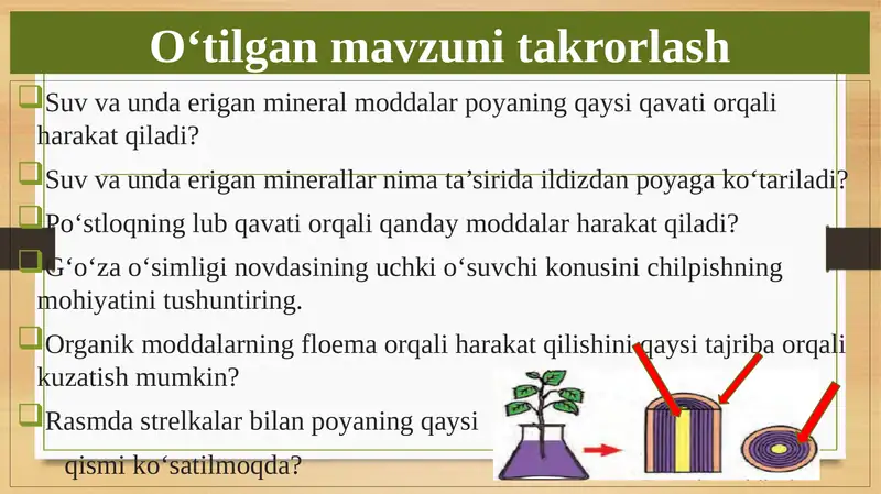 BARGLARDA ORGANIK MODDALARNING HOSIL BO'LISHI