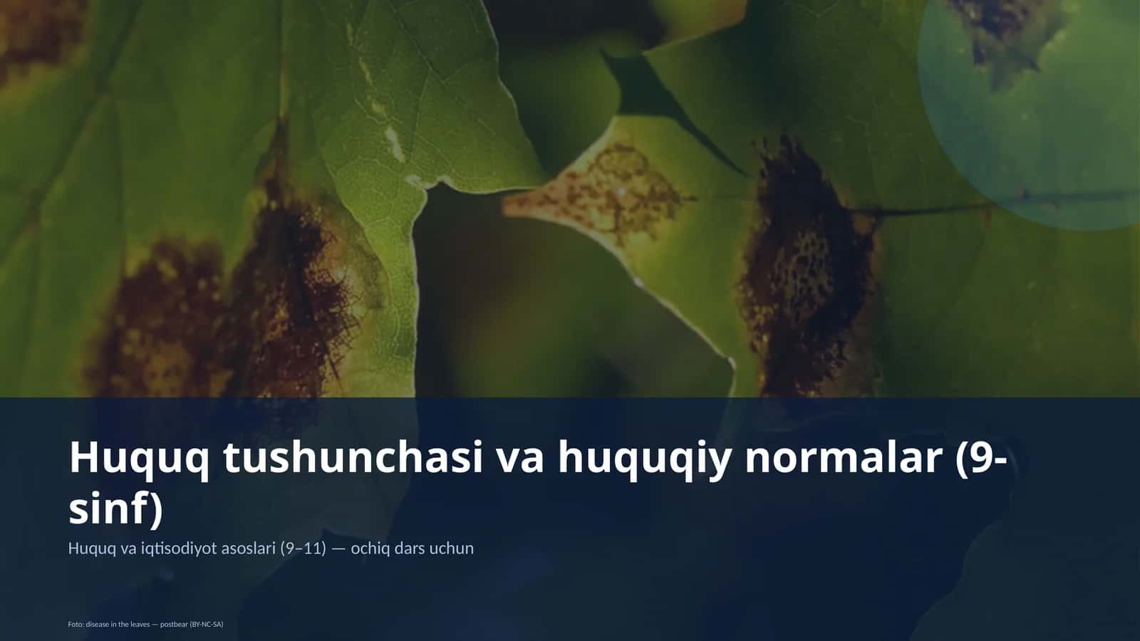 Huquq tushunchasi va huquqiy normalar (9-sinf)