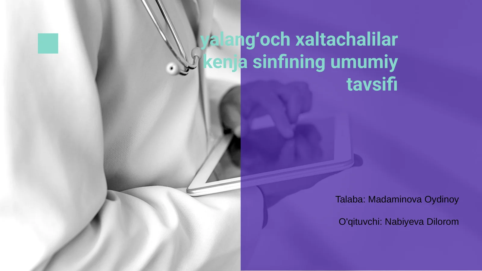 Yalangʻoch xaltachalilar kenja sinfining umumiy tavsifi