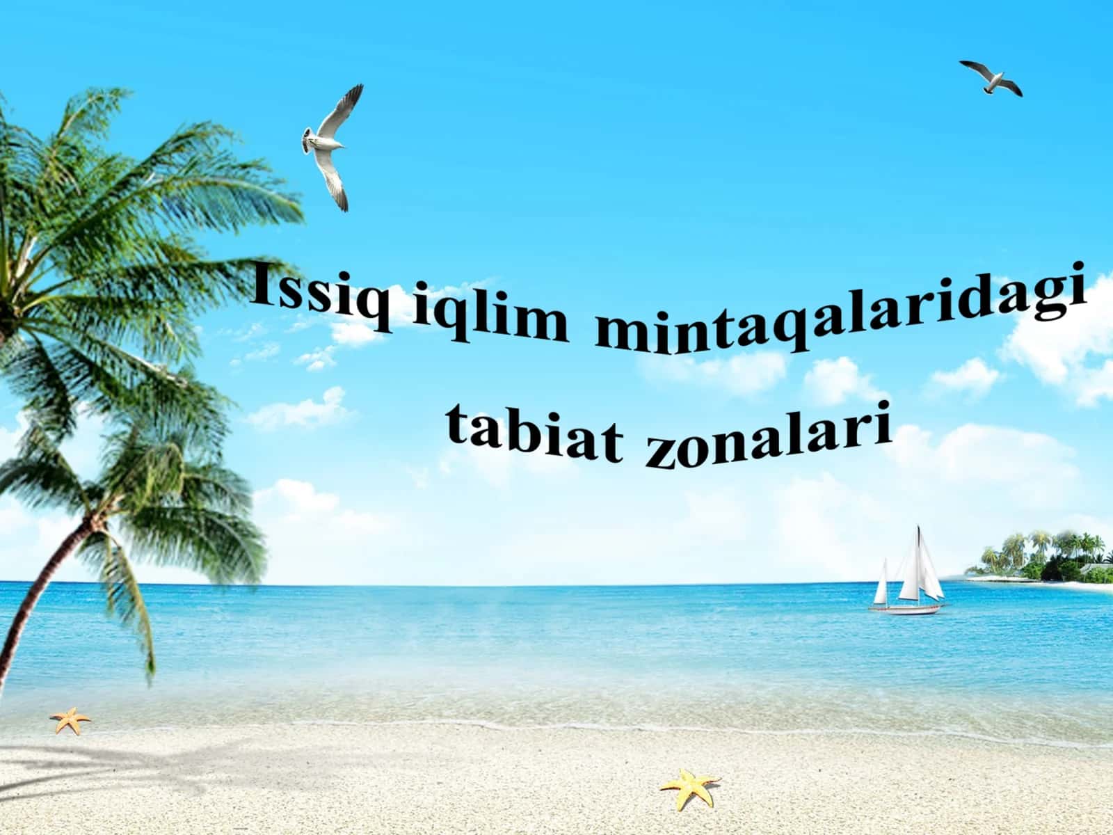 Issiq iqlim mintaqalaridagi  tabiat zonalari
