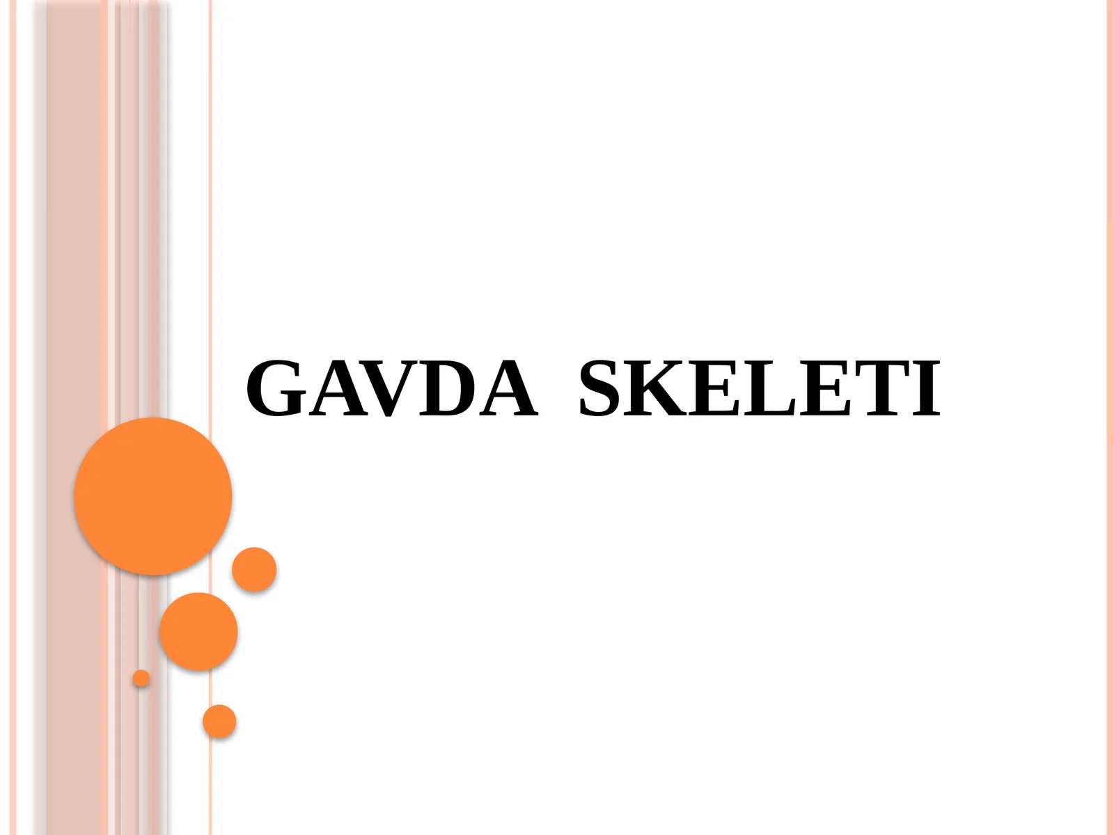 GAVDA SKELETI