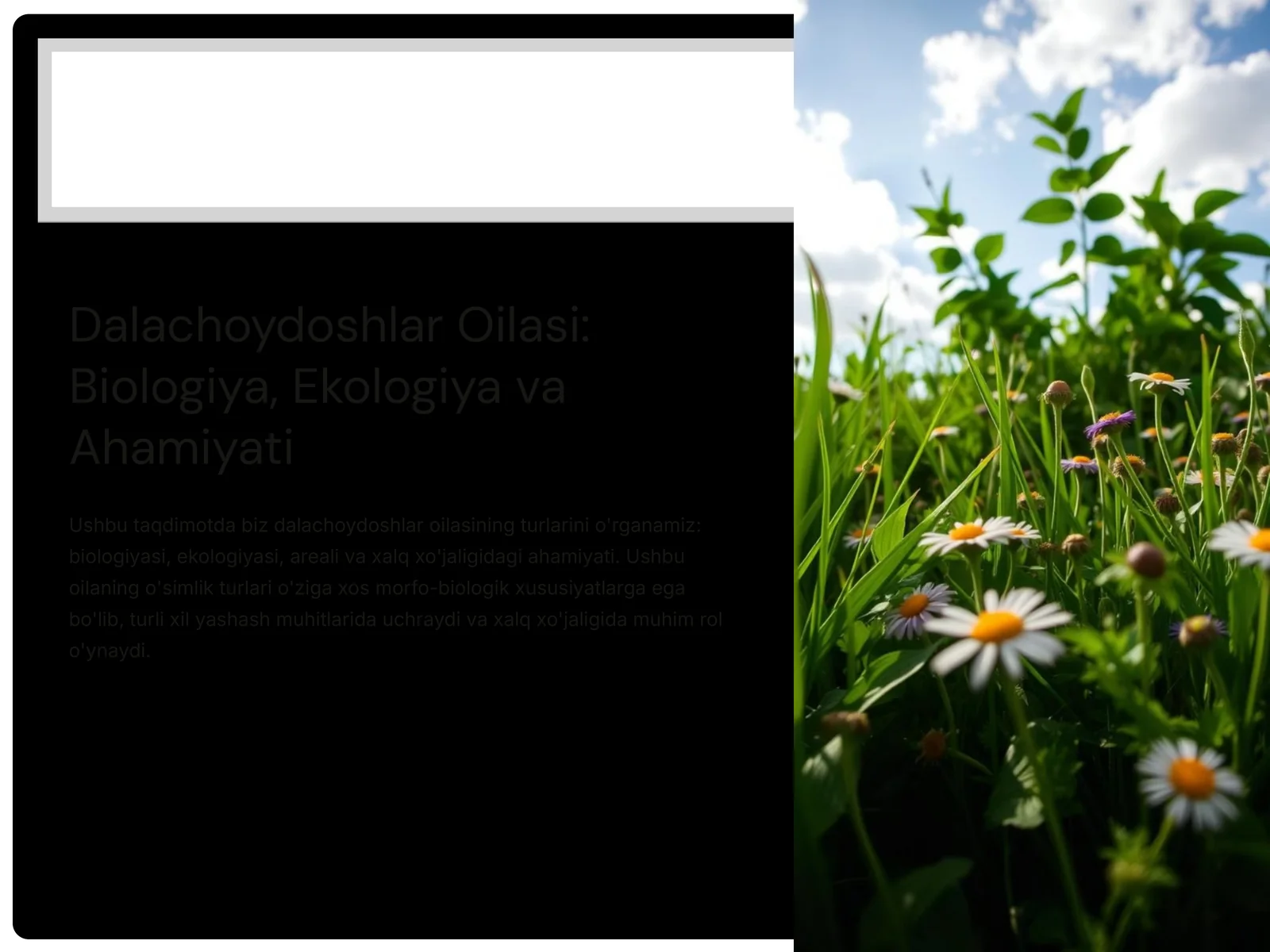 Dalachoydoshlar Oilasi: Biologiya, Ekologiya va Ahamiyati