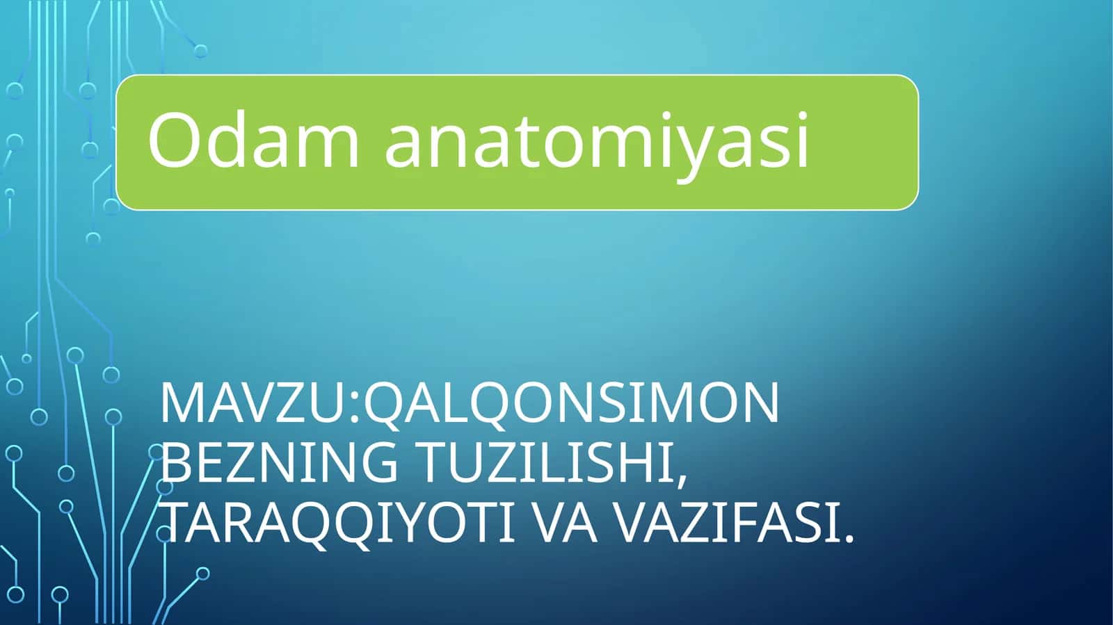 Qalqonsimon bezning tuzilishi, taraqqiyoti va vazifasi?anatomiya