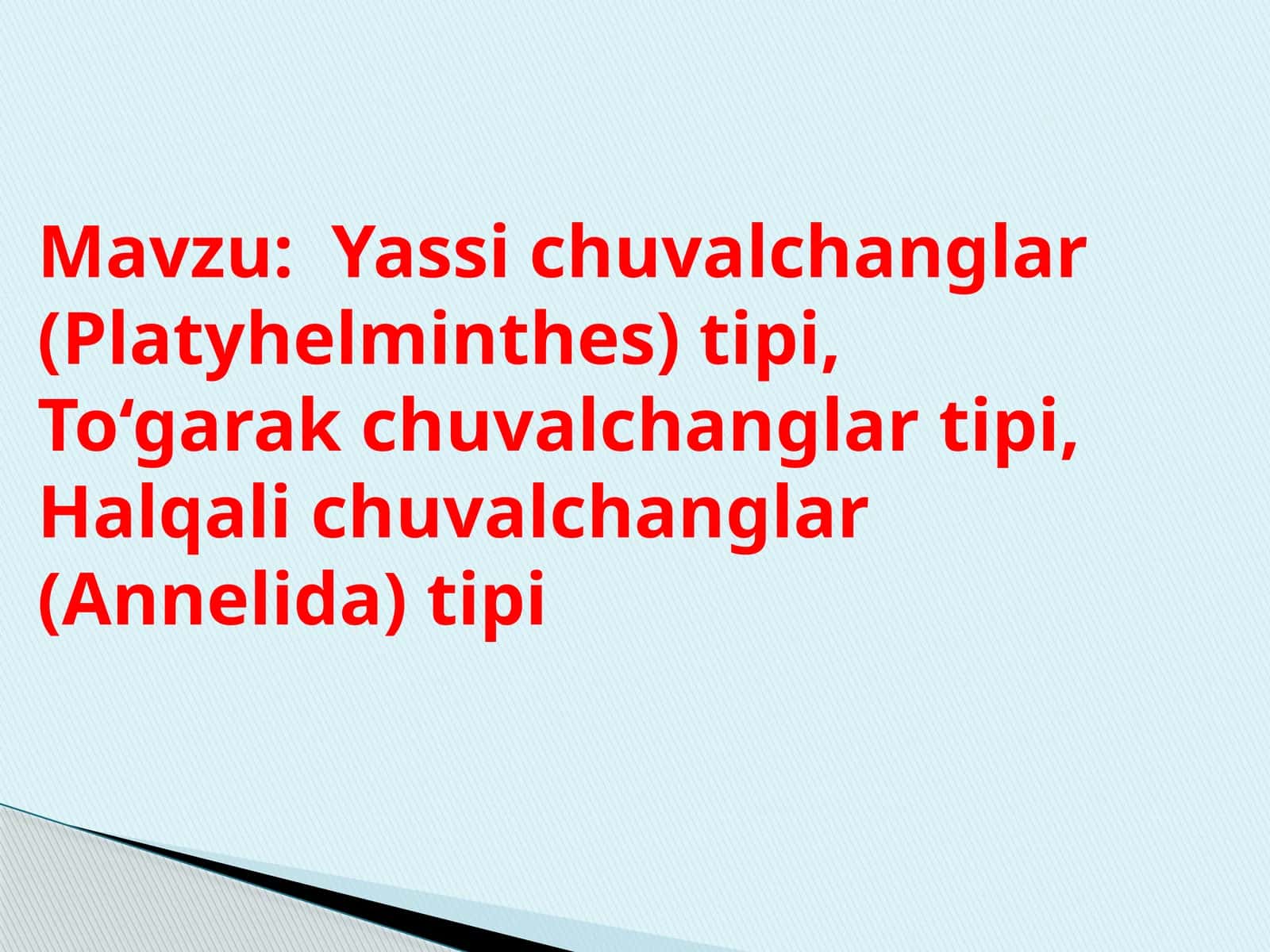 Yassi chuvalchanglar (Platyhelminthes) tipi