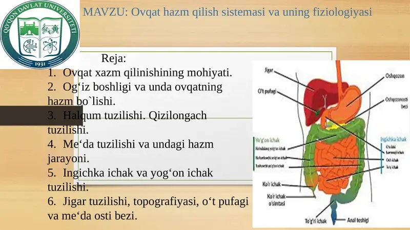 Ovqat hazm qilish sistemasi va uning fiziologiyasi