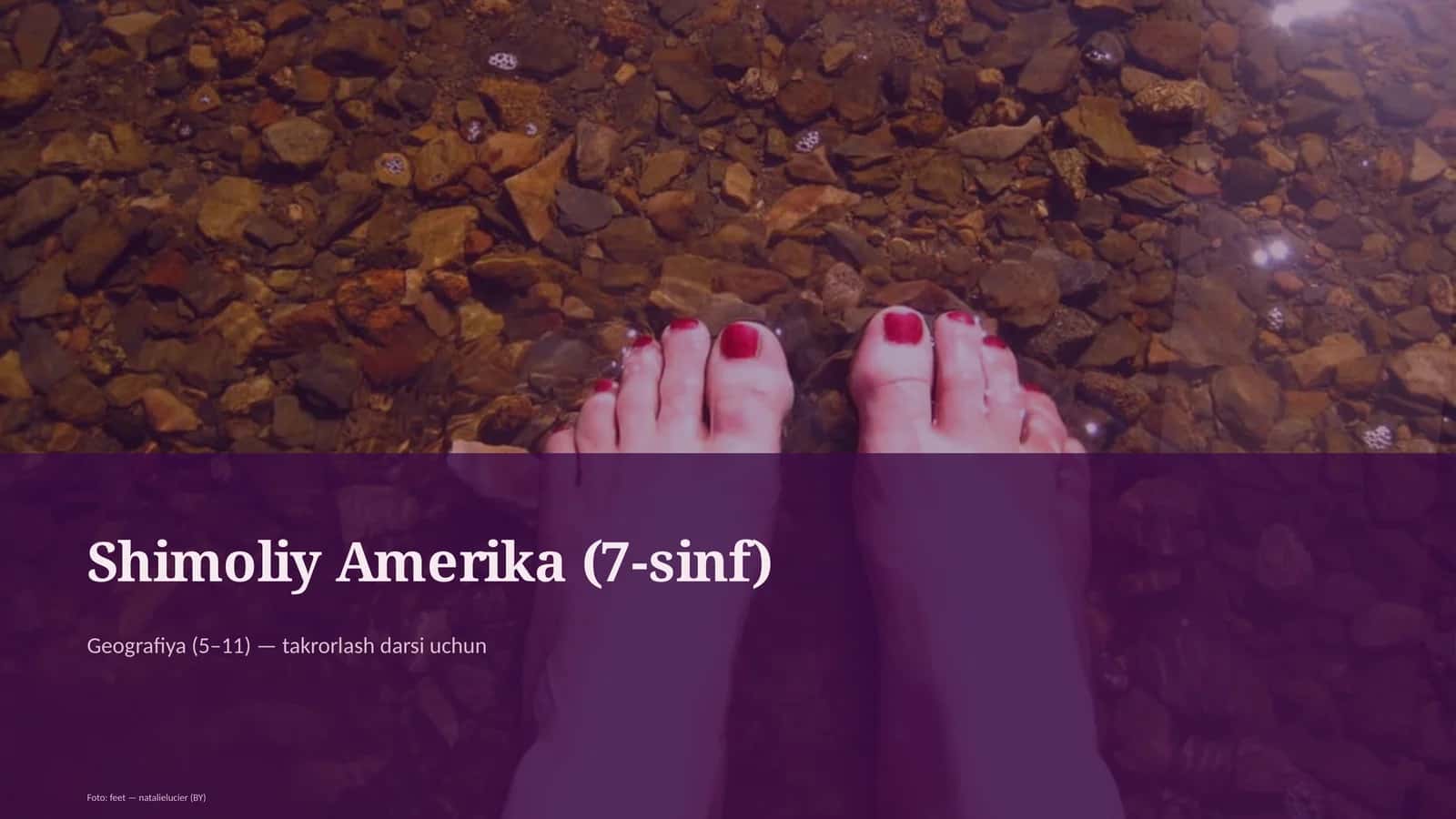 Shimoliy Amerika (7-sinf)