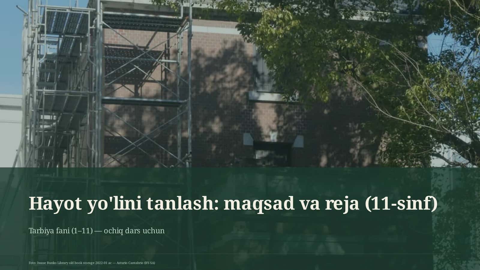 Hayot yo'lini tanlash: maqsad va reja (11-sinf)