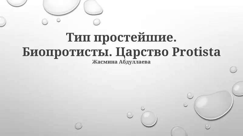 Тип простейшие. Биопротисты. Царство Protista