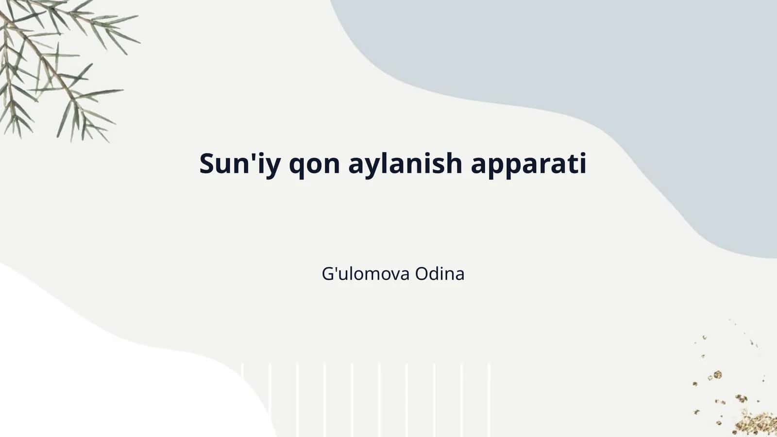 Sun'iy qon aylanish apparati