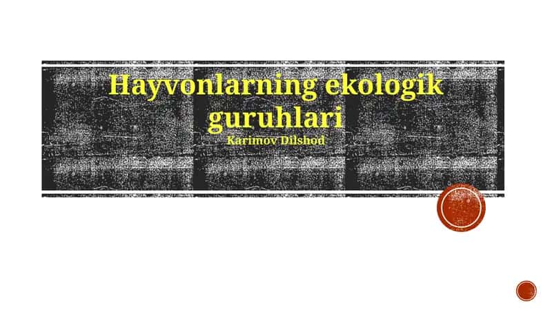 Hayvonlarning ekologik guruhlari