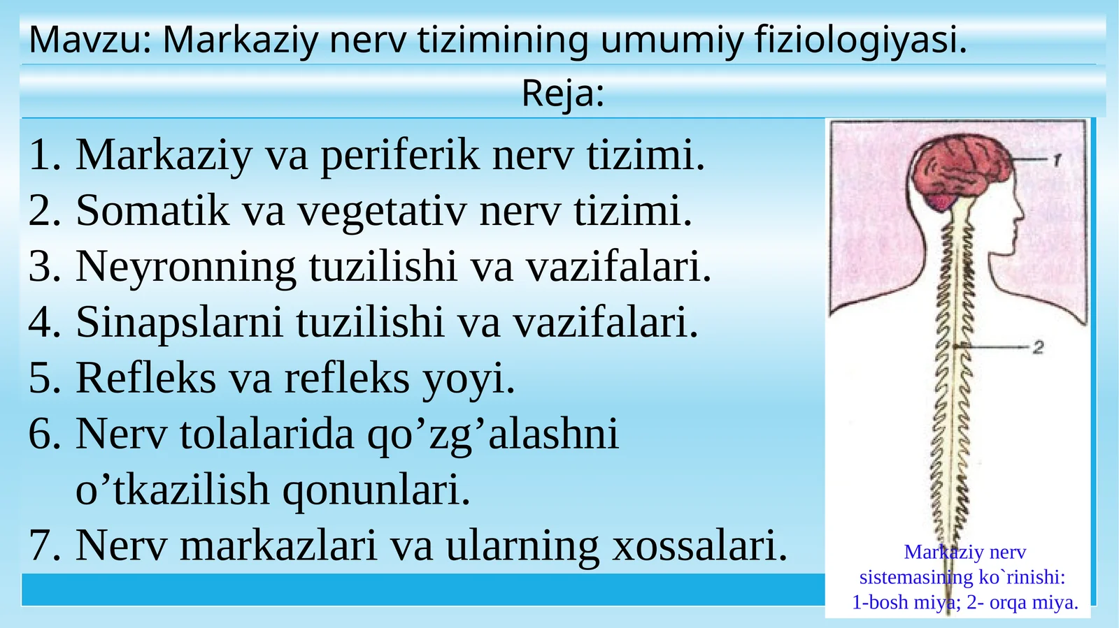 Markaziynerv tizimining umumiy fiziologiyasi