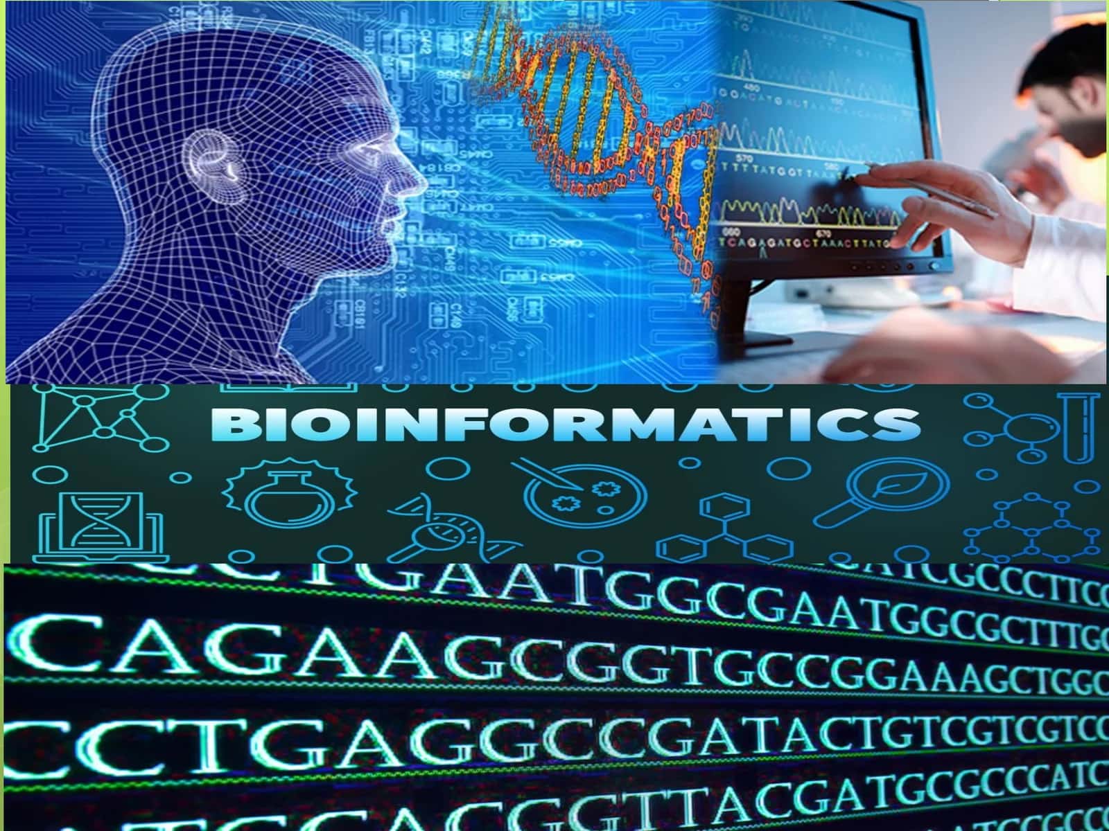 Zamonaviy bioinformatsion malumotlar bazalari