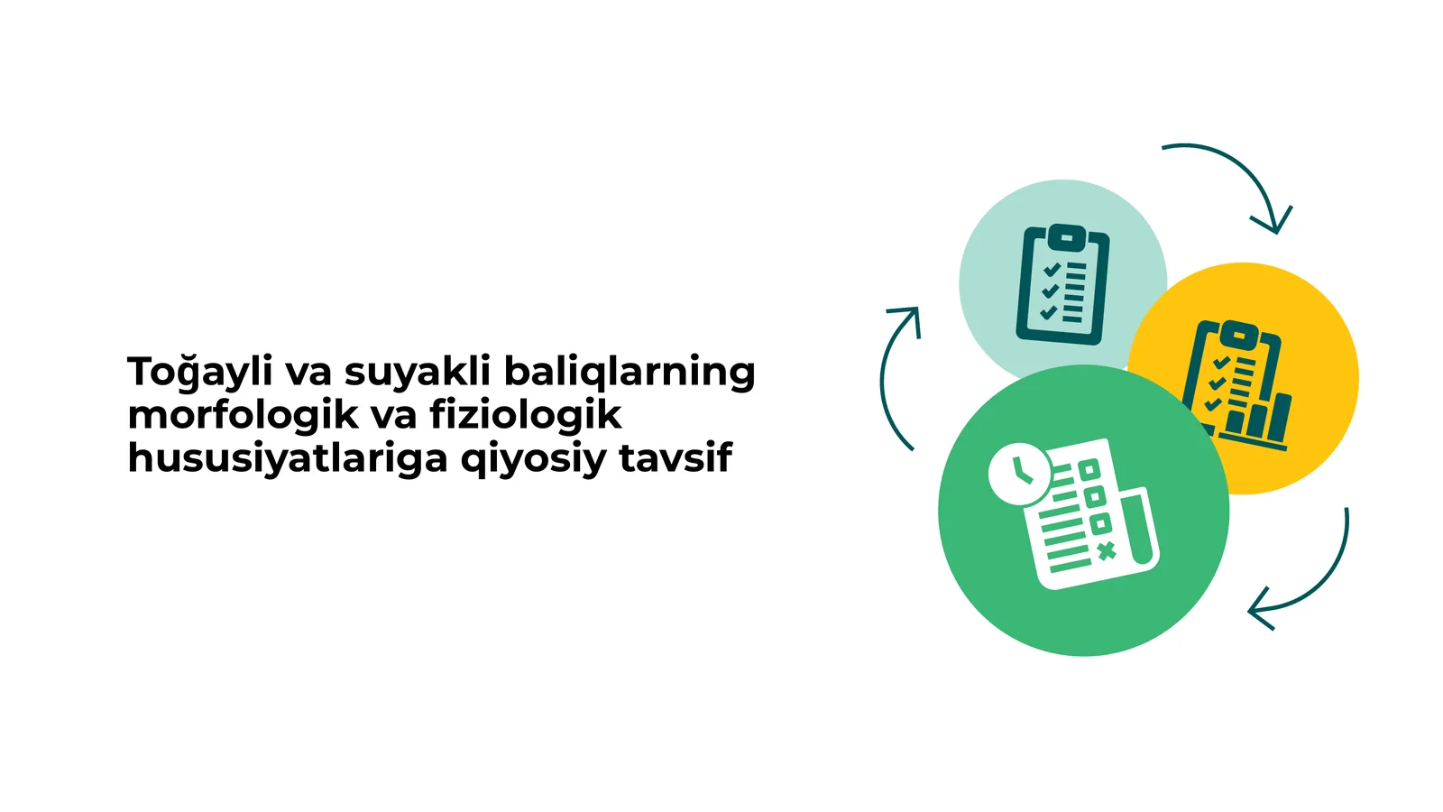 Toğayli va suyakli baliqlarning morfologik va fiziologik hususiyatlariga qiyosiy tavsif