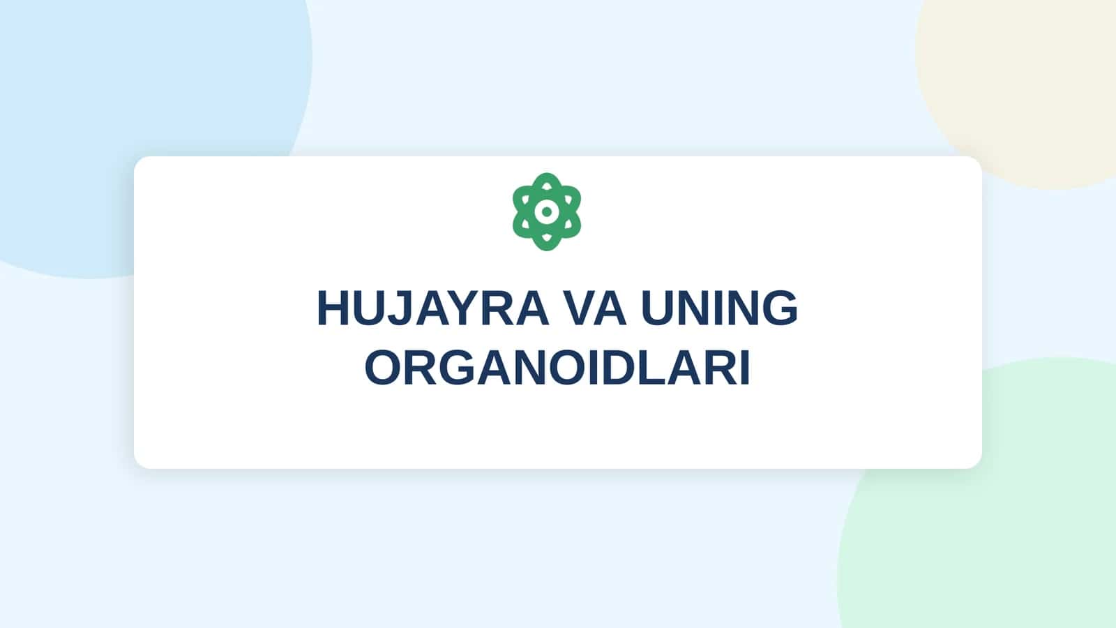 HUJAYRA VA UNING ORGANOIDLARI