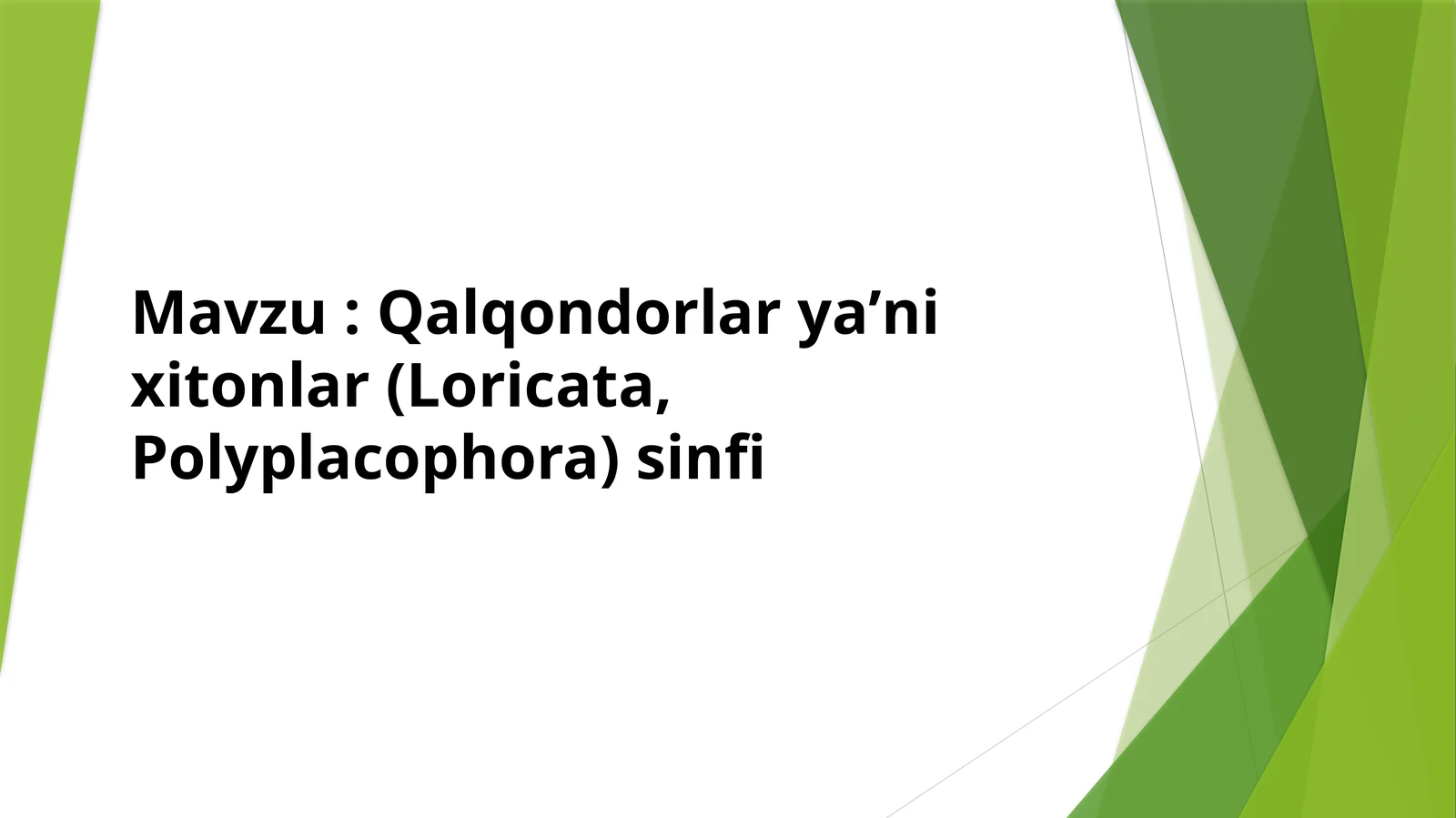 Qalqondorlar yaʼni xitonlar (Loricata, Polyplacophora) sinfi