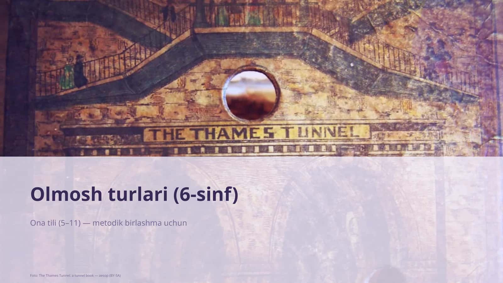 Olmosh turlari (6-sinf)