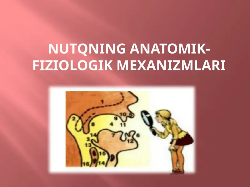 NUTQNING ANATOMIK-FIZIOLOGIK MEXANIZMLARI
