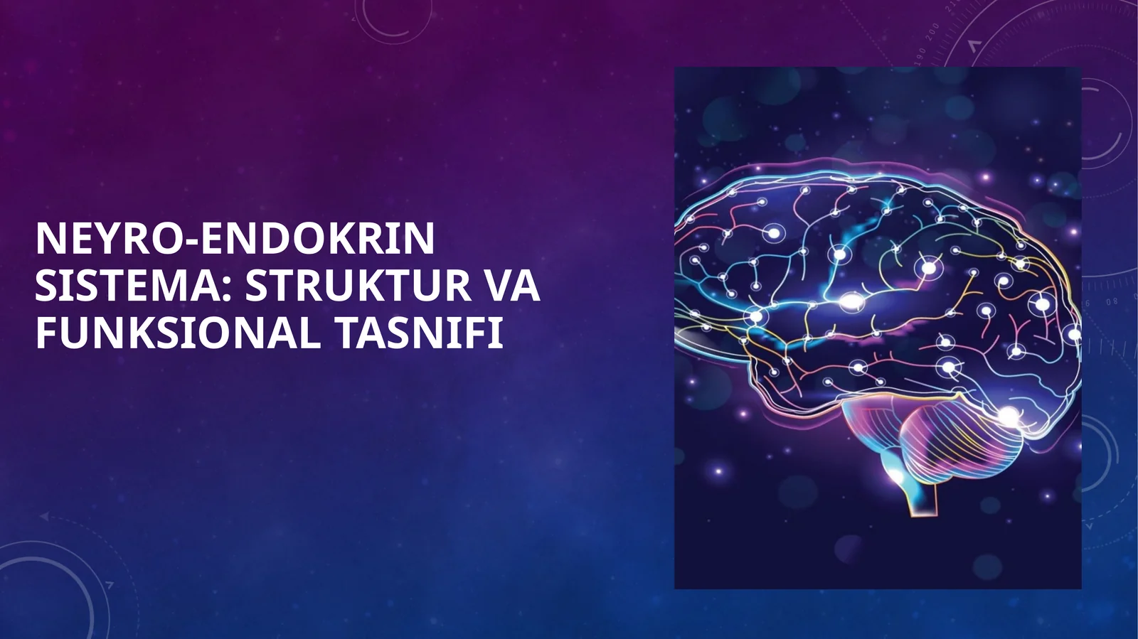 Neyro-endokrin Sistema: Struktur va Funksional Tasnifi