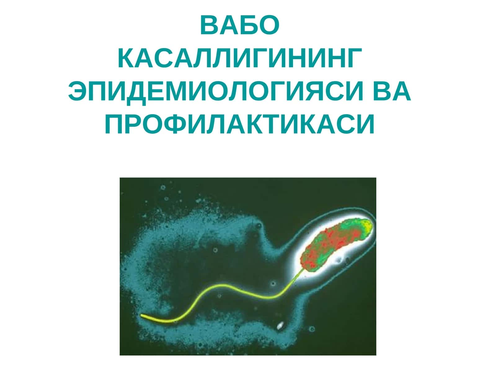 ВАБОКАСАЛЛИГИНИНГ ЭПИДЕМИОЛОГИЯСИ ВА ПРОФИЛАКТИКАСИ