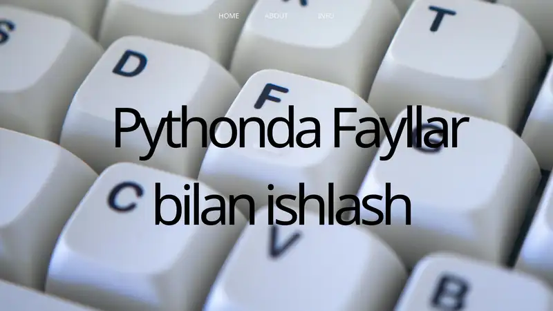 Pythonda Fayllar bilan ishlash