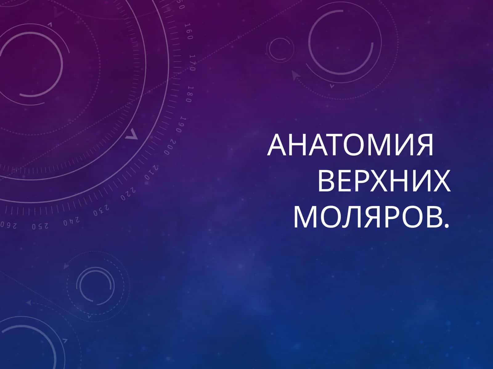 Анатомия верхних моляров