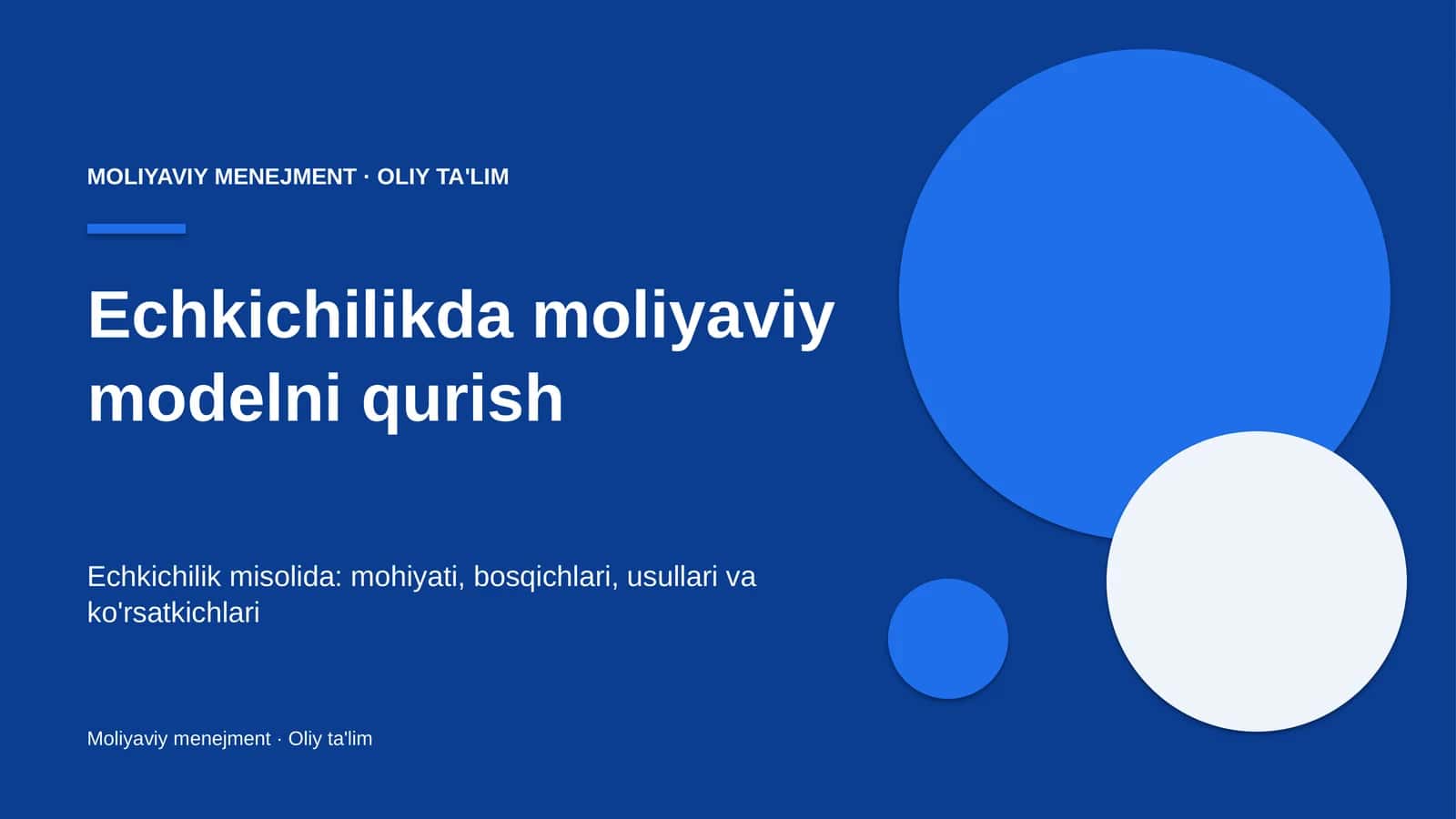 echkichilikda moliyaviy modelni qurish 9985