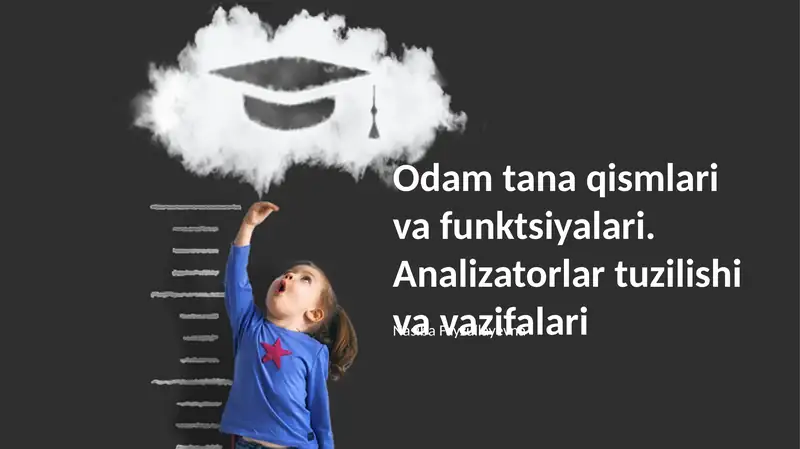 Inson tana qismlari va funktsiyalari. Analizatorlar tuzilishi va vazifalari
