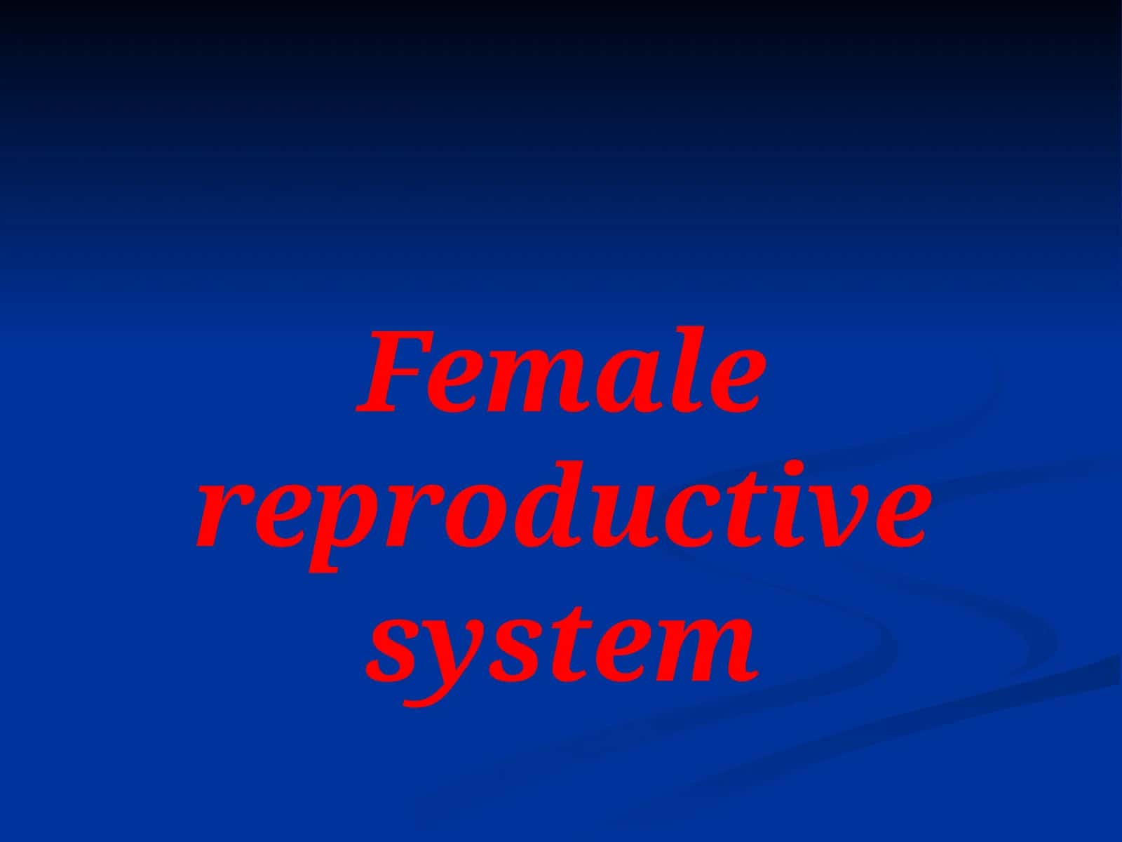 Female reproductive system