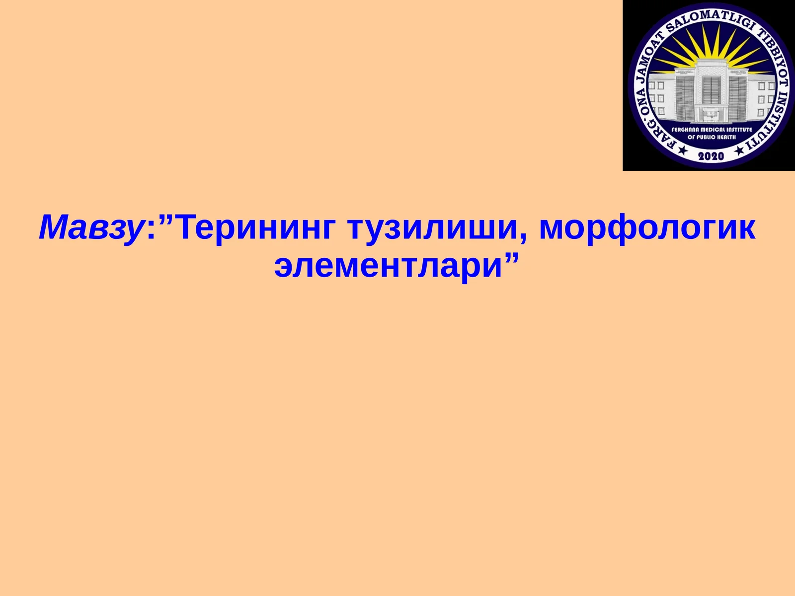 Терининг тузилиши, морфологик элементлари