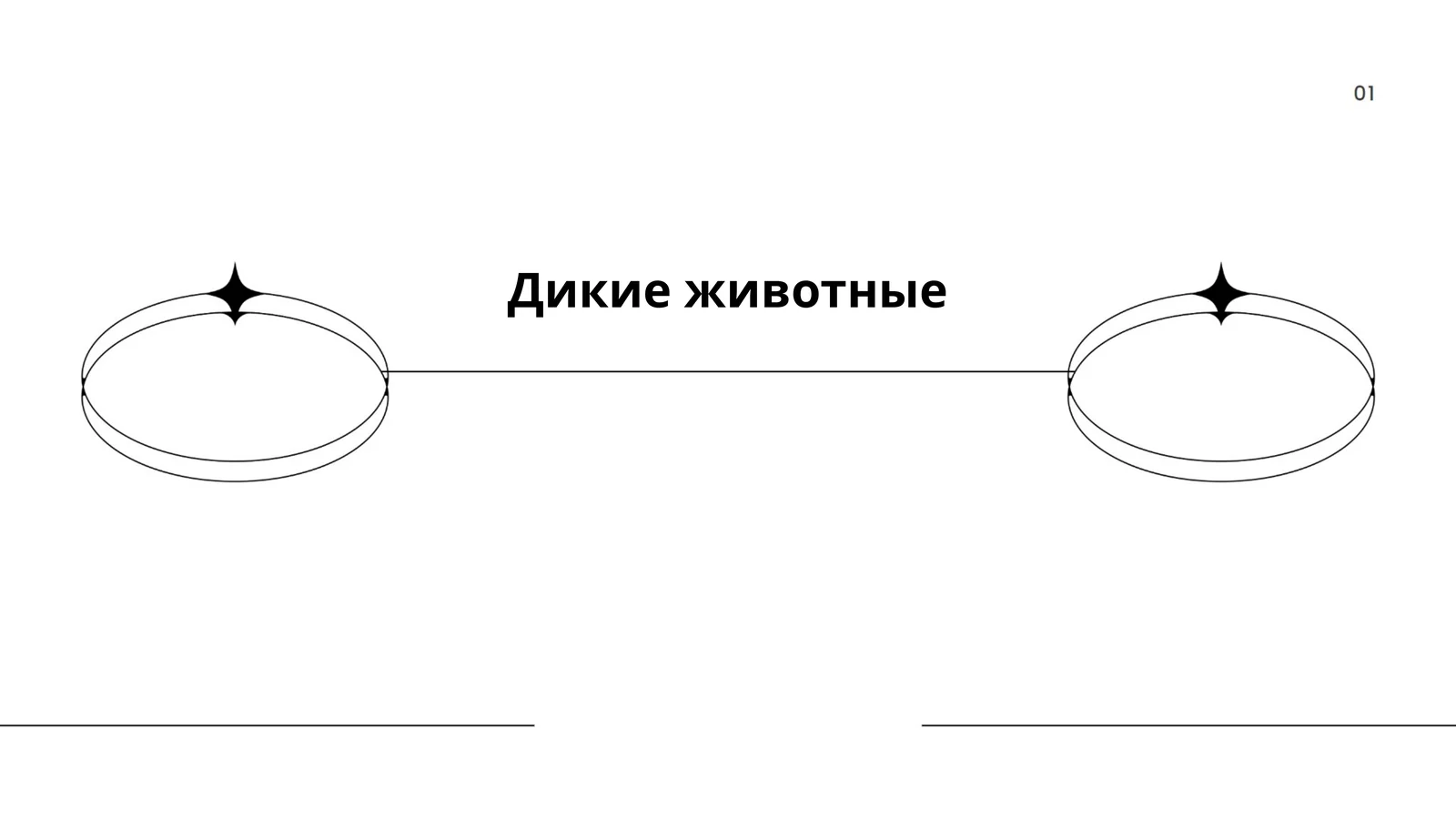Дикие животные