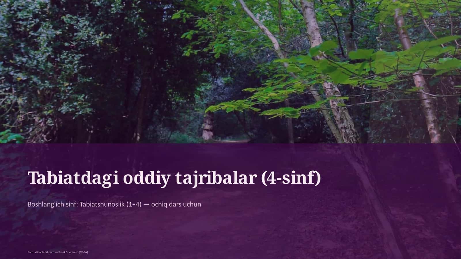 Tabiatdagi oddiy tajribalar (4-sinf)