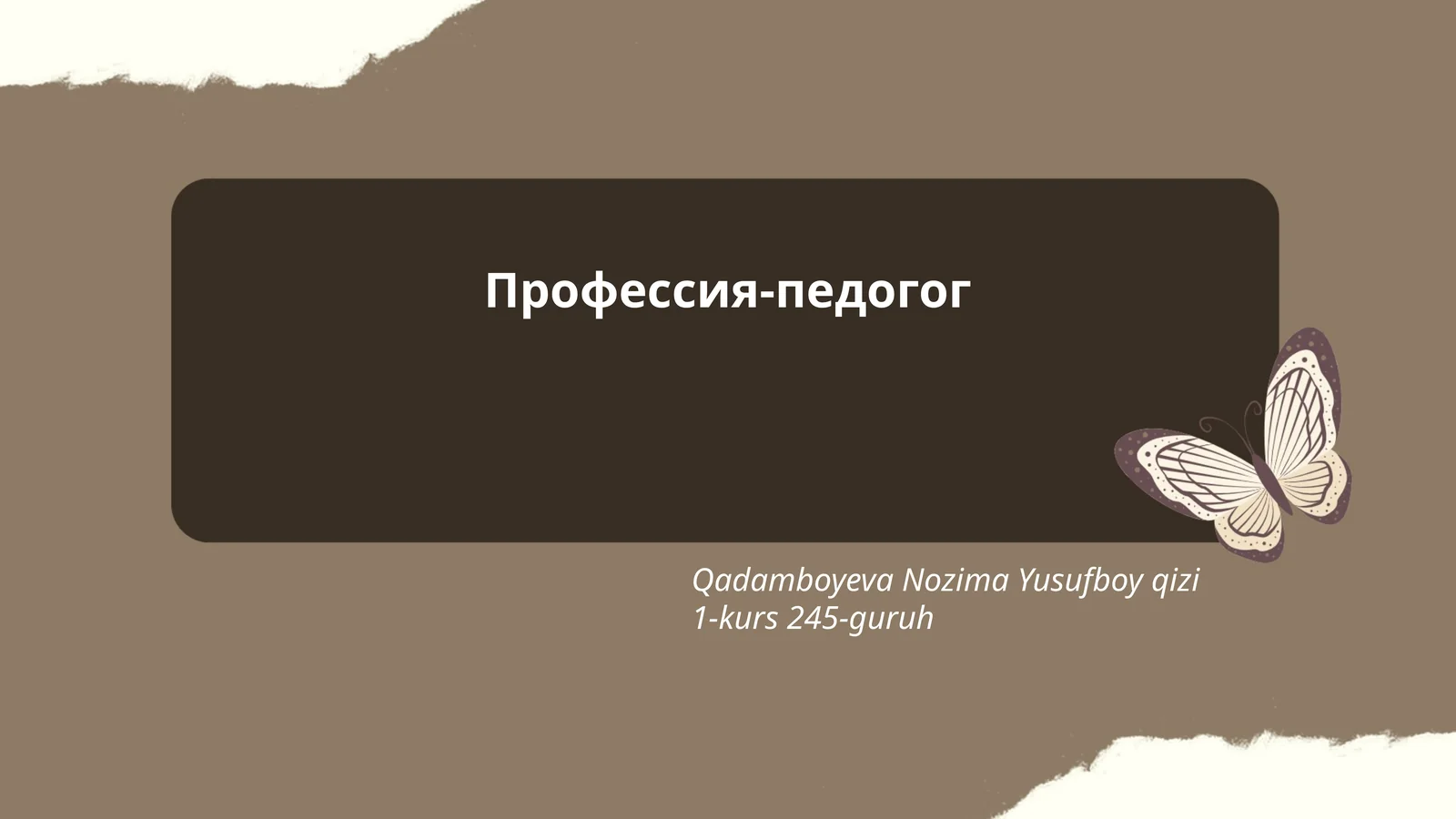 История педагогики