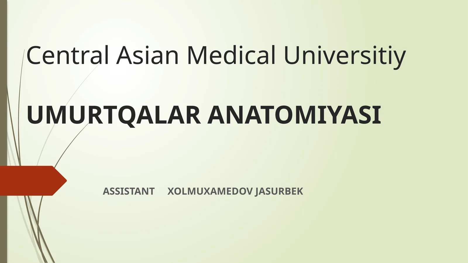 UMURTQALAR ANATOMIYASI